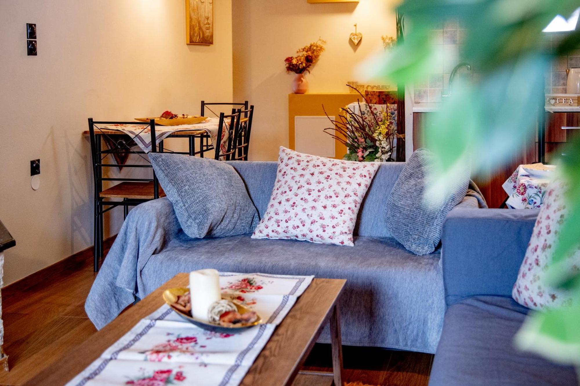 מונודנדרי Arktouros Hotel מראה חיצוני תמונה